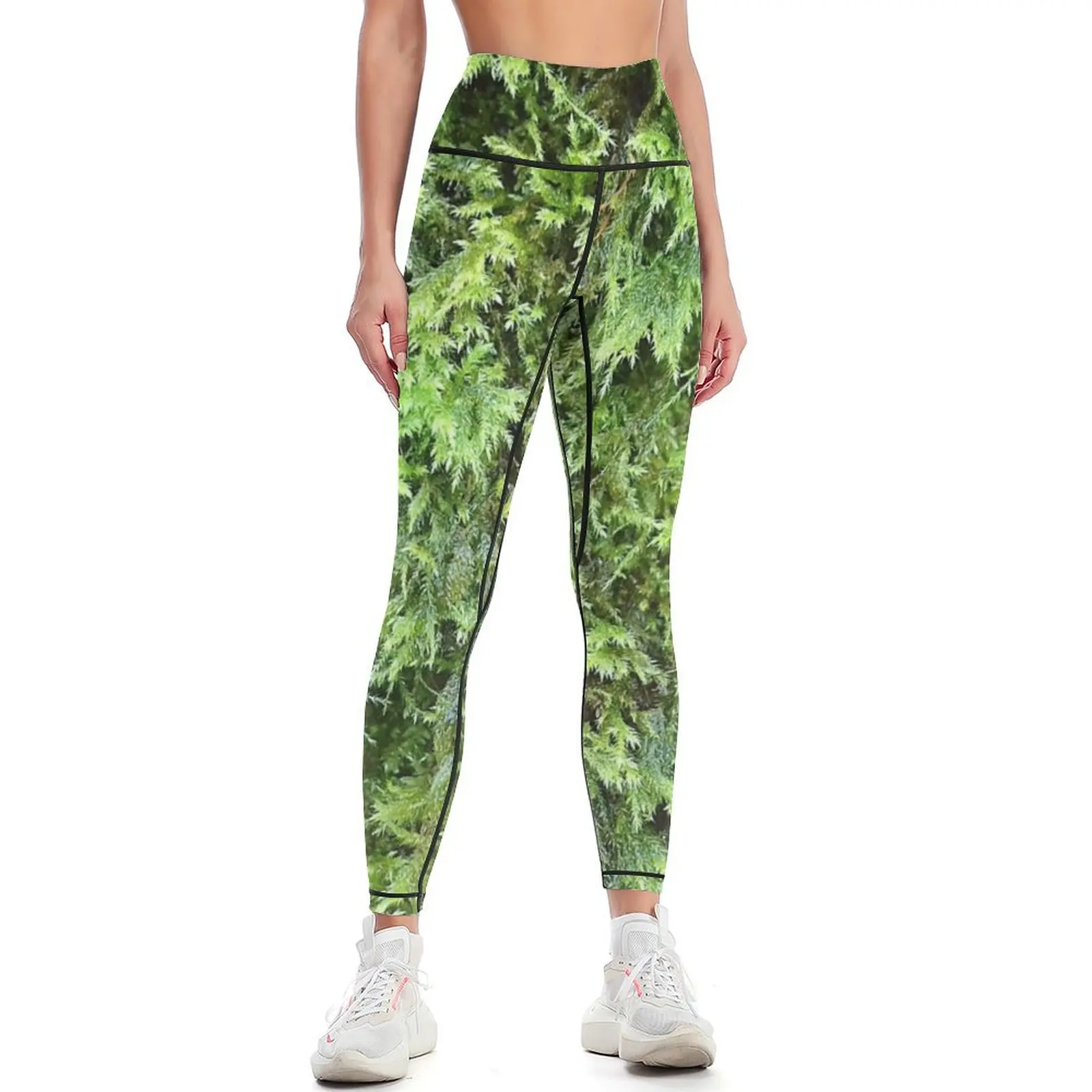 Fotografie von Moos 1 Leggings – Photography Yoga Bewertung und Preis
