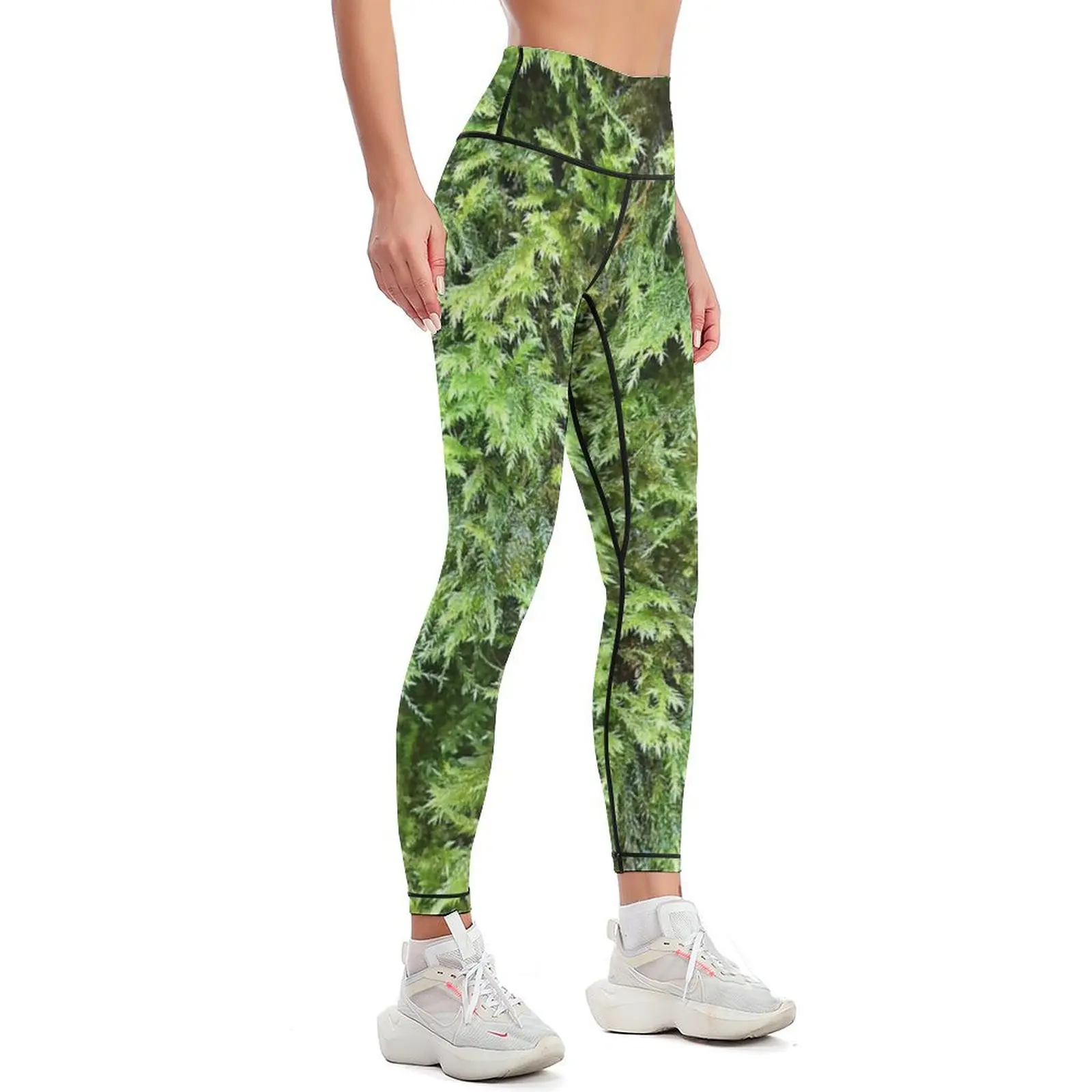 Fotografie von Moos 1 Leggings – Photography Yoga Bewertung und Preis