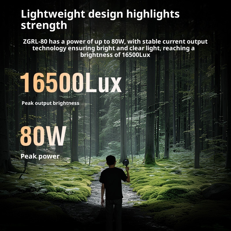 ZGRL80 80 W COB-LED-Videoleuch – Photography Life Bewertung und Preis